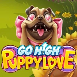 Try Go High Puppy Love slot by RubyPlay on nyspins.cc – logo image