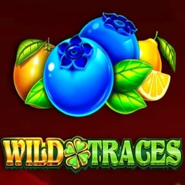 Play Wild Traces slot by Amusnet Interactive on nyspins.cc